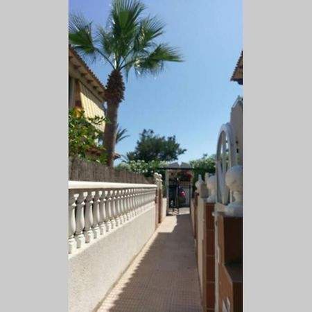 Апартаменти La Casa De La Palmera Торрев'єха Екстер'єр фото
