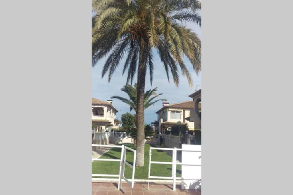 Апартаменти La Casa De La Palmera Торрев'єха Екстер'єр фото