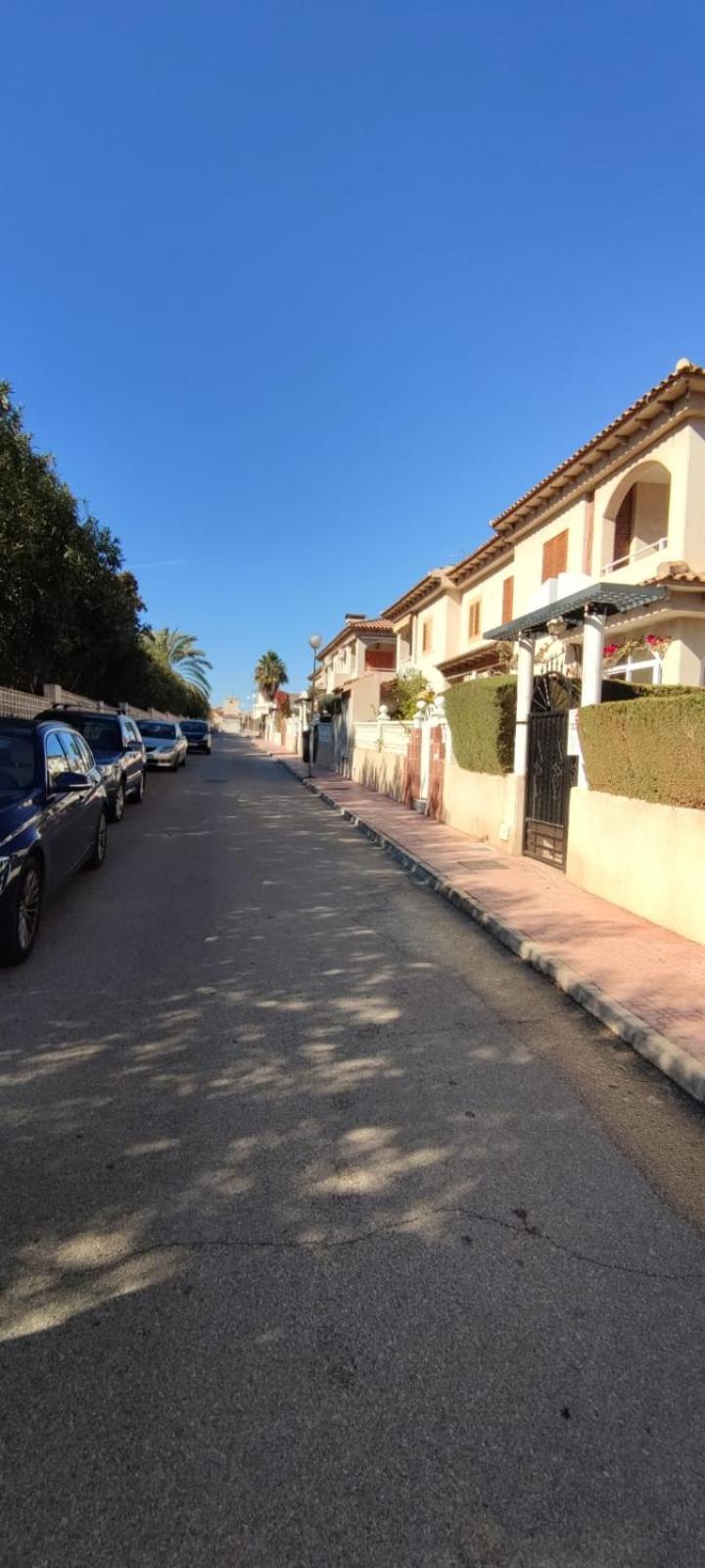 Апартаменти La Casa De La Palmera Торрев'єха Екстер'єр фото
